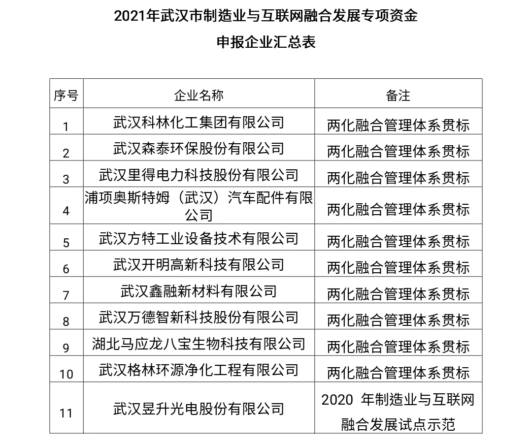 洪山区关于2021年武汉市制造业与互联网融合发展专项资金申报名单的公示