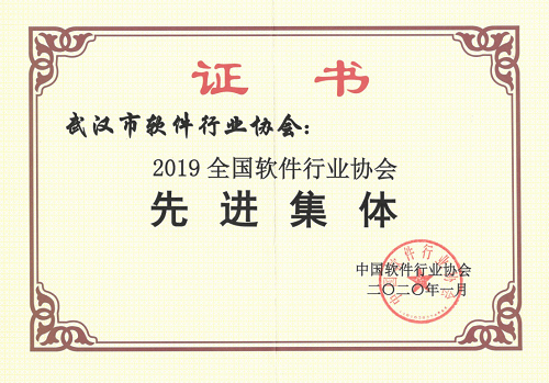 武汉软协2020年先进集体.png